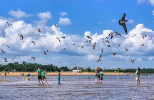 山东荣成雨后美景，桑沟湾生态令人陶醉