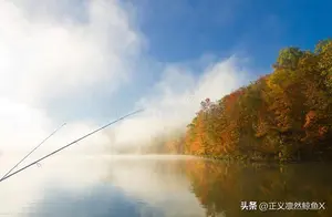 立秋后8月图解钓大草鱼：挂泥鳅的技巧与秘诀