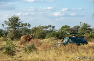 肯尼亚十日游攻略：探索Safari的奇妙之旅