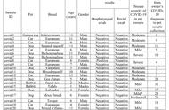 西班牙首例宠物猫感染新冠：无症状，引发全球关注