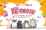 独家揭秘：如何快速找回丢失的猫咪