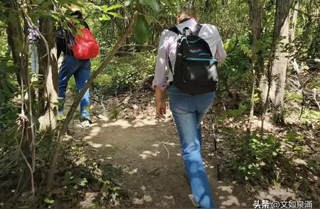 江苏年轻女孩徒步遭遇不幸，悲剧引发关注