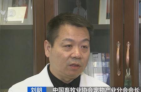 探索宠物新天地：宠物餐厅的火爆现象