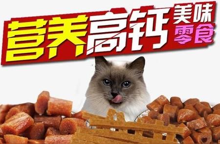 2023年宠物食品品牌排行榜：哪些品牌最受欢迎？