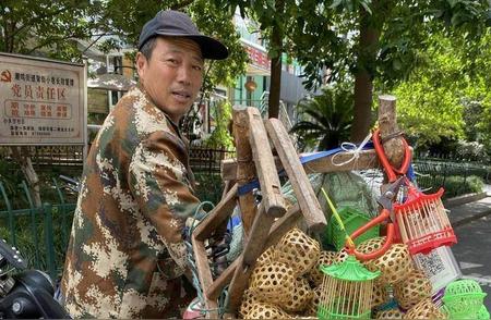 蝈蝈的叫声唤醒的是什么？一次神秘的探索之旅