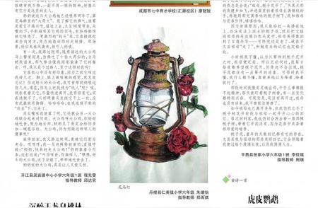 虎皮鹦鹉的独特魅力：全面品种介绍