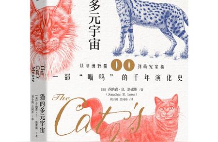 家猫品系的独特进化之路