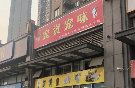 宠物店遭投诉频发，监管部门发出消费提示