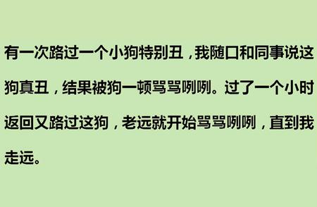 揭秘：狗狗智商大揭秘！你家的狗狗智商如何？