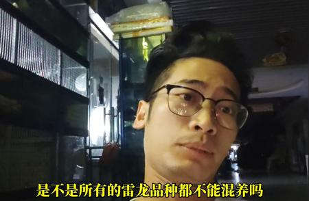 揭秘雷龙鱼混养的秘密，你真的了解吗？