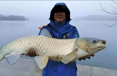 钓鱼三不去：揭秘空手而归的真相！