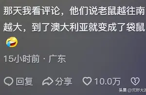 揭秘：水里的袋鼠比你想象的更危险！