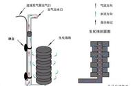 热带观赏鱼繁殖首选：鱼缸过滤神器，性能无敌！