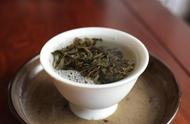 普洱茶：饼茶与散茶，哪一种更胜一筹？