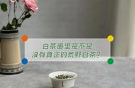 荒野茶、有机茶、古树茶：白茶的众多概念，哪些才是真正的智商税？