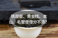 铁观音、黄金桂、本山茶、毛蟹茶：傻傻分不清？