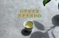 白茶新茶老茶，你喝对了吗？这些年的茶白喝了