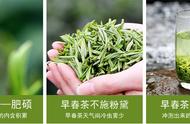 茶叶的'七宗最'，你知道吗？看过的人都收藏了