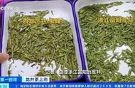 一斤龙井茶竟然卖到3万多元？同一产地的价格差距竟达1倍！原因何在？