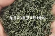 深度解析：绿茶中的“香茶”系列