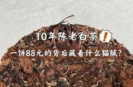 88元一饼的10年陈老白茶，购买后为何让人闹心？