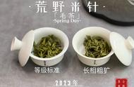 工艺决定等级：为何同为荒野白茶，不同师傅的制作结果却大相径庭？