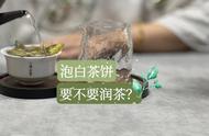 白茶饼的冲泡技巧：头道茶是否需要润茶？