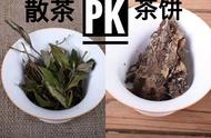 茶饼与散茶，哪个更胜一筹？直接看对比实验揭晓答案！