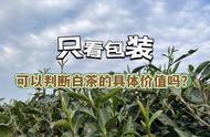 包装能揭示白茶的真正价值吗？从几十元到千元不等