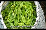 黄山毛峰茶叶：茶文化深度解析