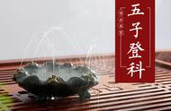 爱茶人士必备：如何挑选并呵护你的茶宠