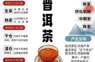 普洱茶终极指南：完全解读