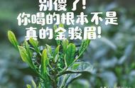 揭秘市场：99%的金骏眉茶是假冒品？