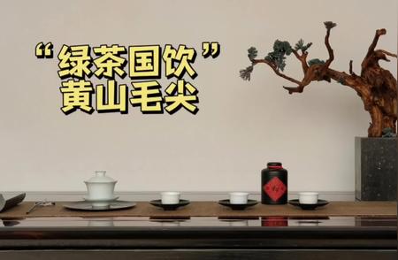 黄山毛尖：品饮之道与鉴赏价值