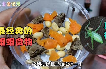 第一次尝试制作蝈蝈的经典食物：配方百年传承，制作方法大揭秘