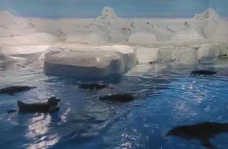 上海海洋水族馆企鹅夏季全新亮相：萌萌的企鹅等你来观赏！