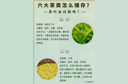 茶叶小知识大揭秘：爱茶人士必看的收藏攻略！