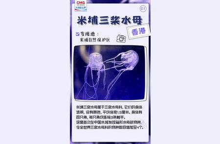 大湾区惊人发现：神秘新生物现身！