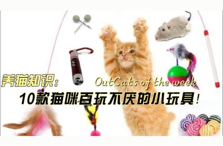 猫咪乐园推荐：10款百玩不厌的小玩具！