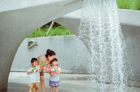 淡人夏日乐园：公园雨花石与海边岩石的双重体验