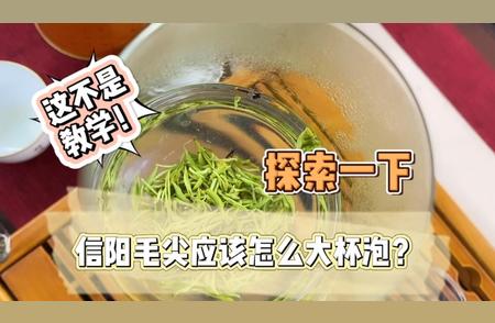 信阳毛尖泡茶法大揭秘：一次性实验，教你最佳冲泡技巧