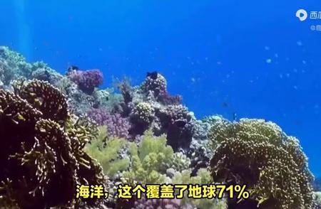 海洋奥秘：珊瑚对地球形貌的惊人影响