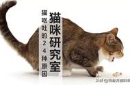 猫吐了，这24种原因你知道吗？（必看收藏）