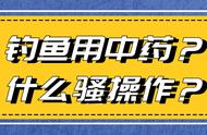 邓老师钓鱼，中药竟然也派上用场！