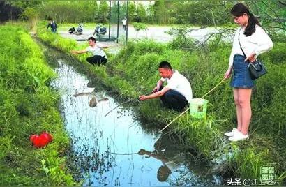 钓鱼入门：如何简单上手这项看似复杂的技艺