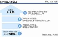 宠物医疗现状：治疗费用超越人类、专业医生短缺、服务质量需提升