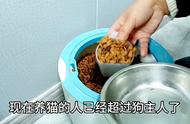 揭秘宠物医院医生的一天：守护毛孩子的健康